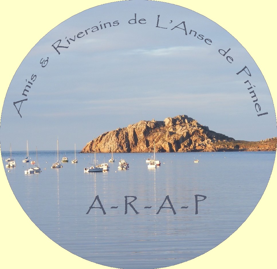 Logo ARAP, réalisation pyb29.